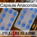 Anaconda Capsule 20